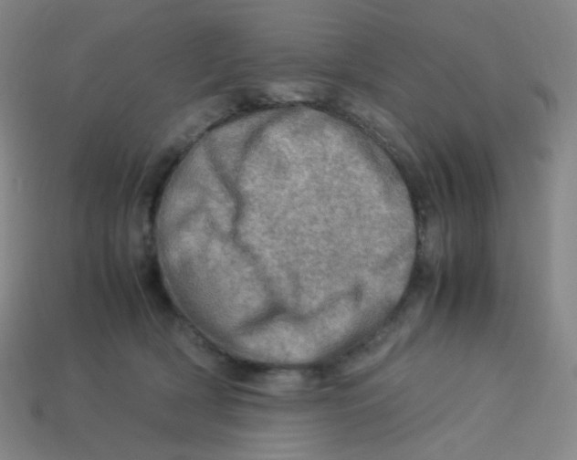 X0000113310418200910131112