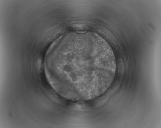 X0000113310420200910131112