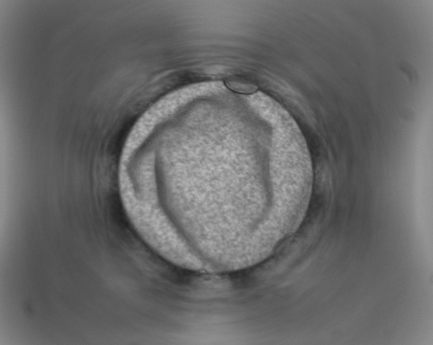 X0000113310421200910131112