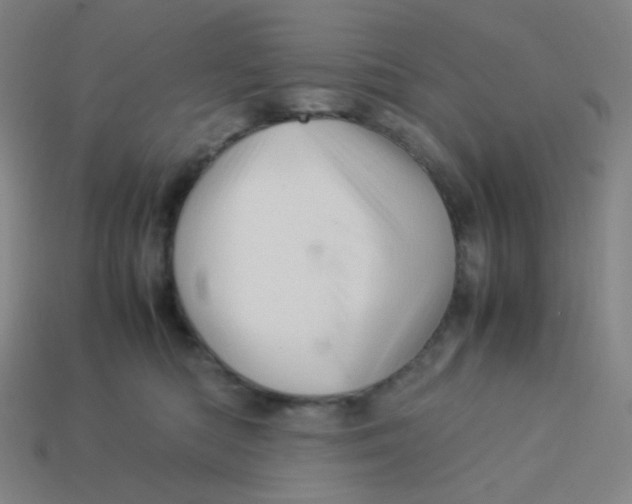 X0000113310422200910131112