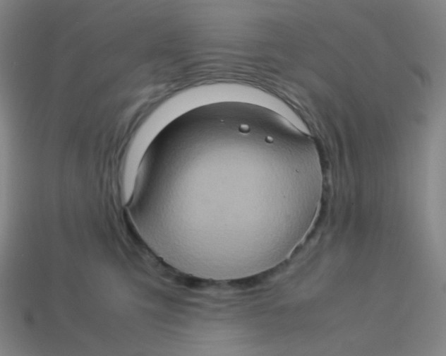 X0000113310423200910131112