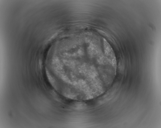 X0000113310424200910131111