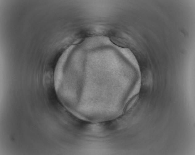 X0000113310425200910131111