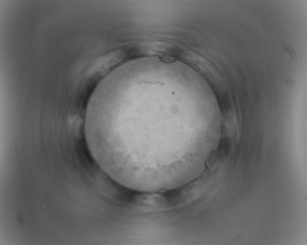 X0000113310427200910131111