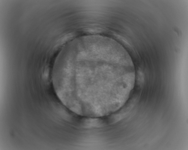 X0000113310428200910131111