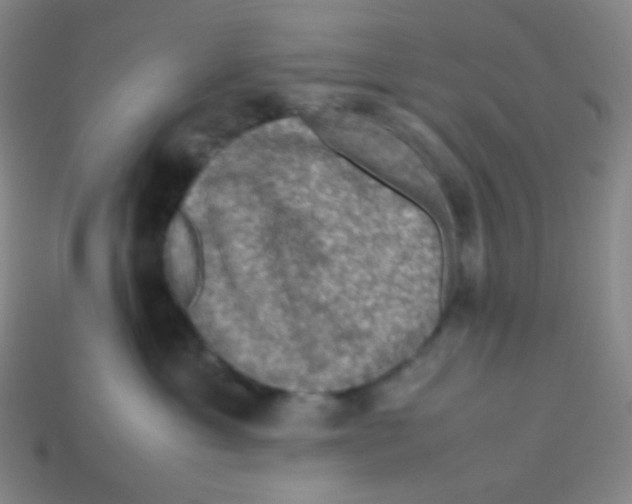X0000113310429200910131111