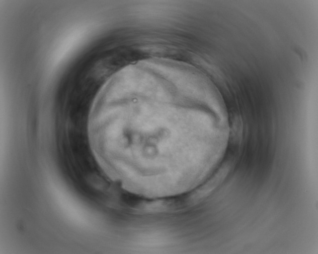 X0000113310430200910131111