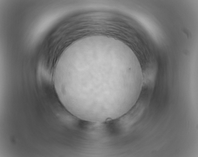 X0000113310431200910131111