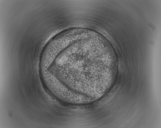 X0000113310434200910131111