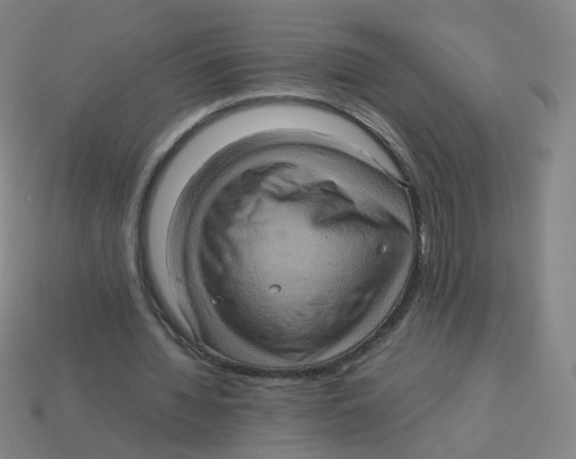 X0000113310436200910131111