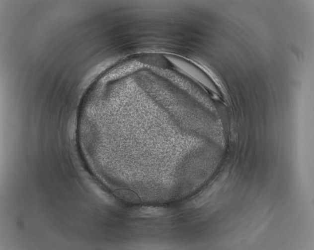 X0000113310437200910131111