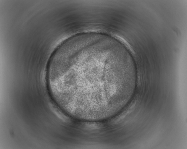 X0000113310439200910131111