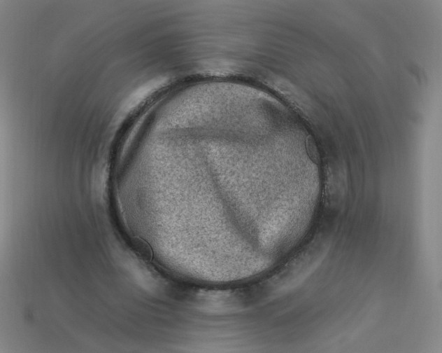 X0000113310440200910131111
