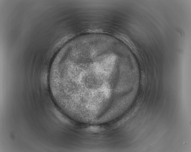 X0000113310441200910131111