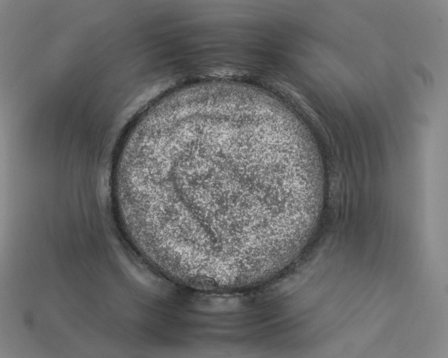 X0000113310443200910131111