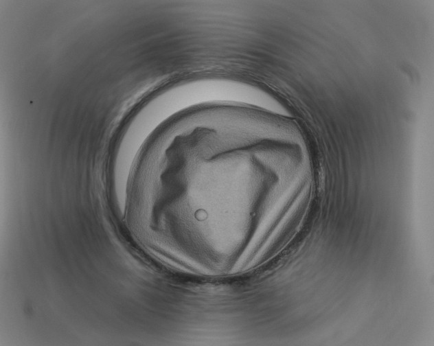 X0000113310444200910131111