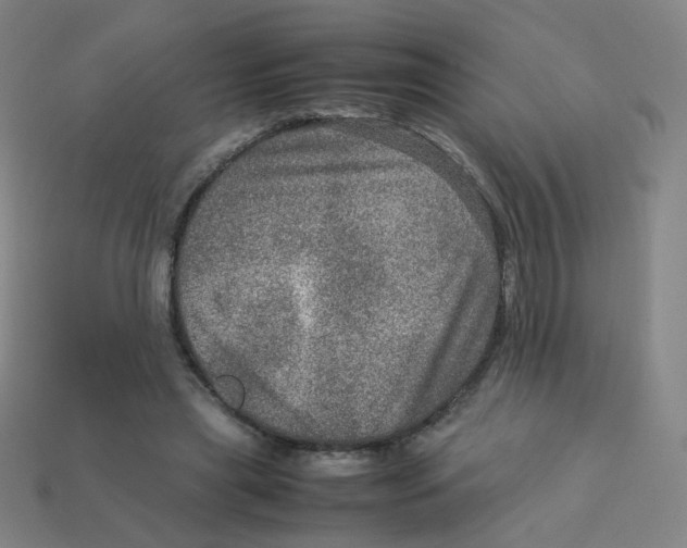 X0000113310445200910131111