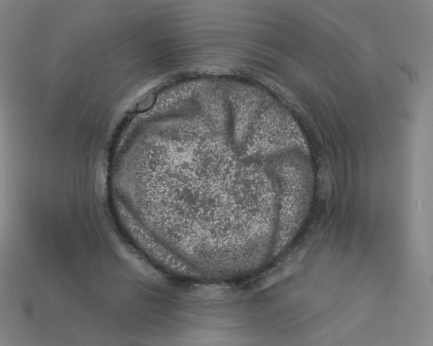X0000113310446200910131111