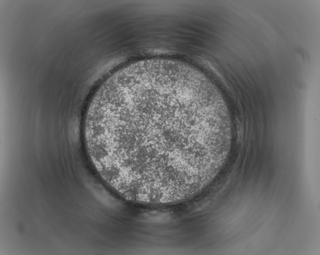X0000113310447200910131111