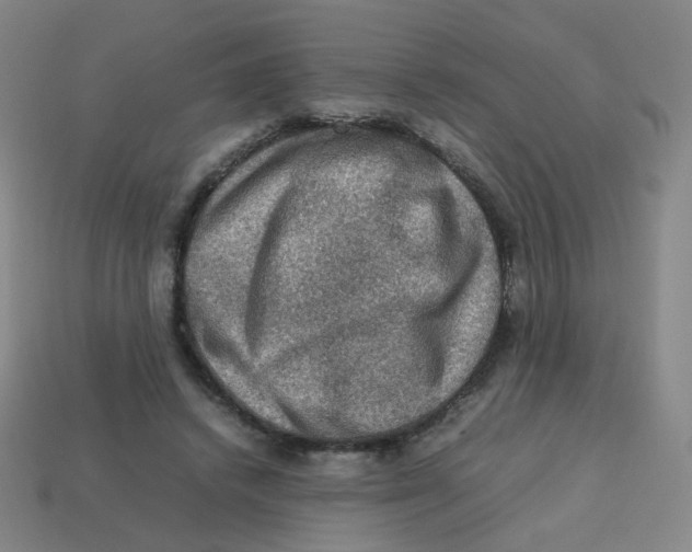 X0000113310448200910131111