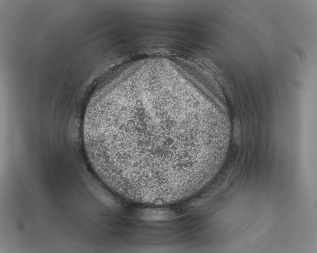 X0000113310449200910131111