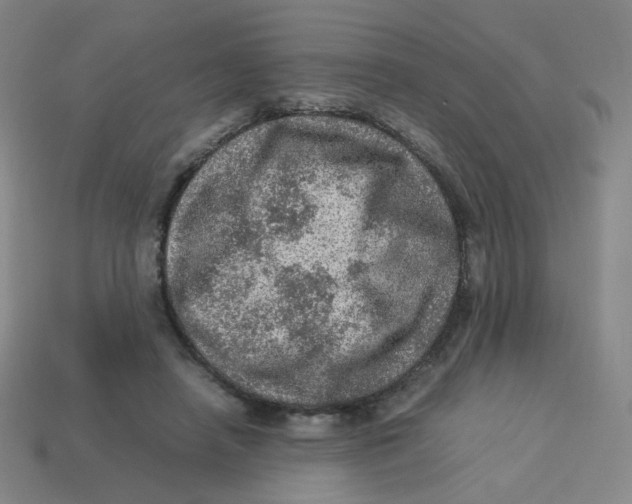 X0000113310450200910131111