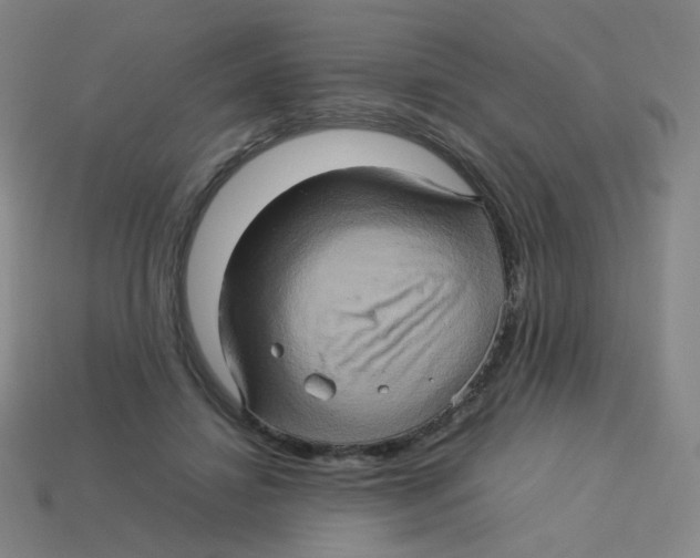 X0000113310452200910131111