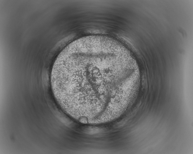 X0000113310453200910131111