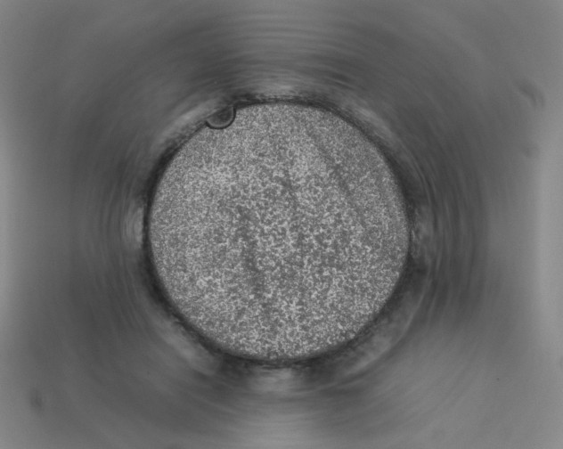 X0000113310454200910131111