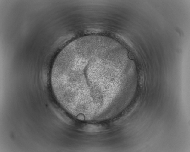 X0000113310455200910131111