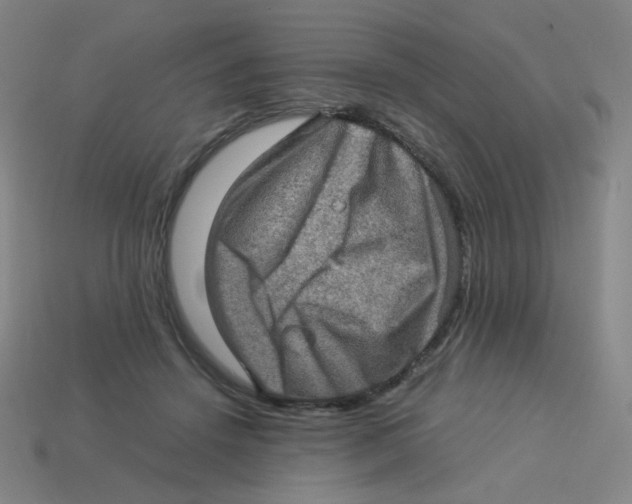X0000113310456200910131111