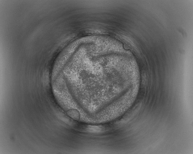 X0000113310457200910131111