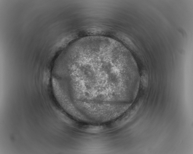 X0000113310458200910131111