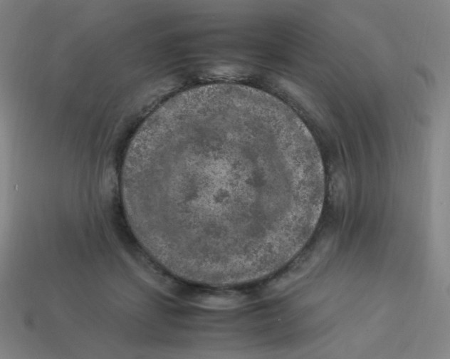 X0000113310459200910131111