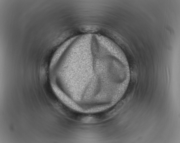 X0000113310460200910131111