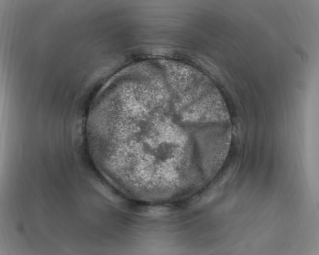 X0000113310462200910131111