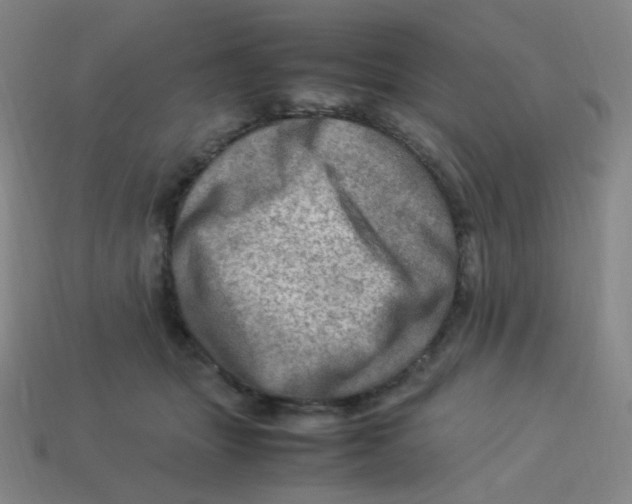 X0000113310463200910131111