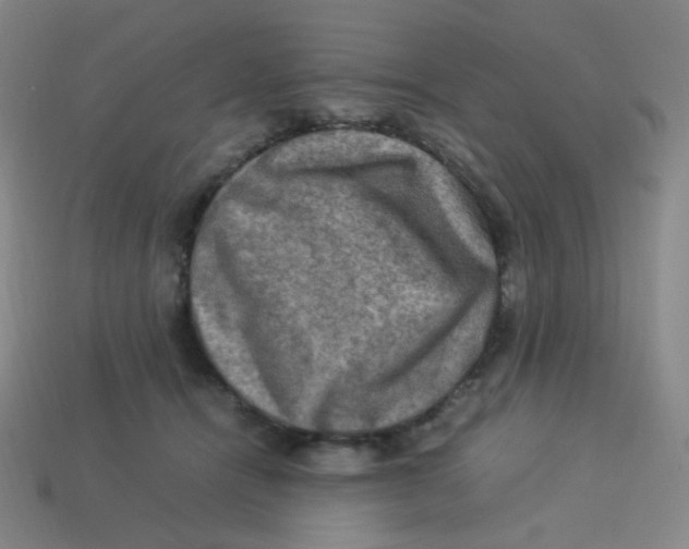 X0000113310464200910131111