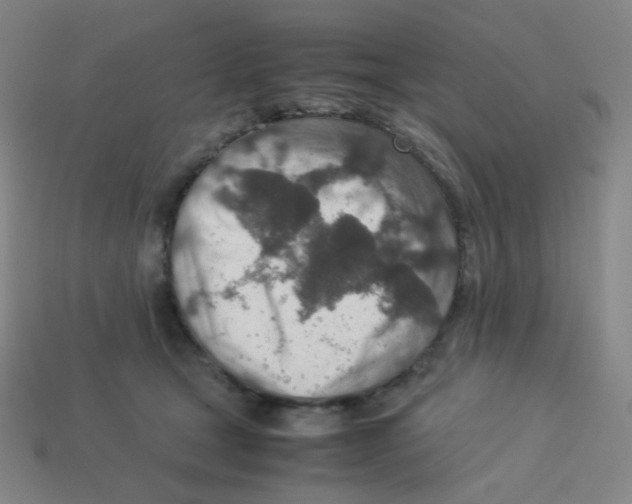 X0000113310465200910131111