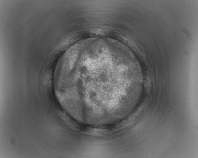 X0000113310466200910131111