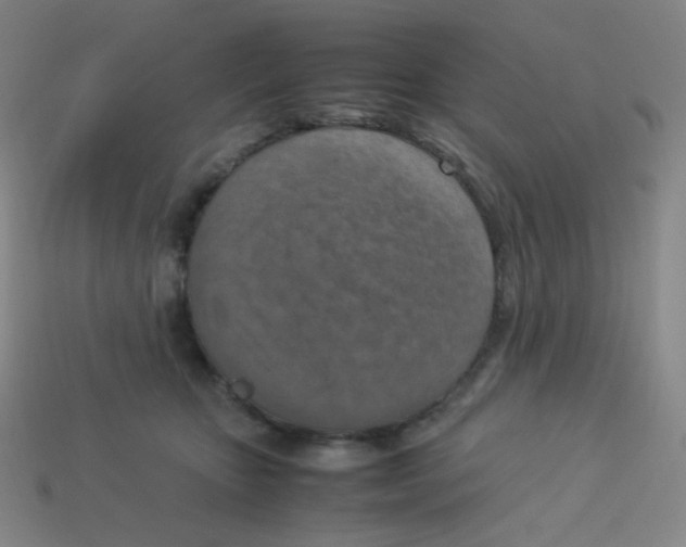 X0000113310467200910131111