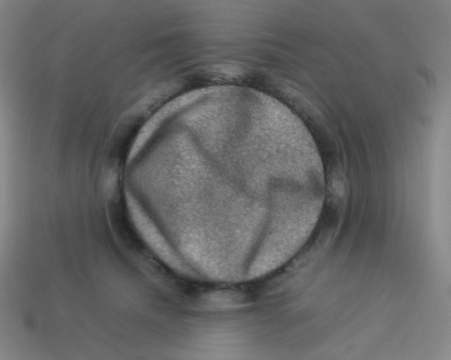 X0000113310468200910131111
