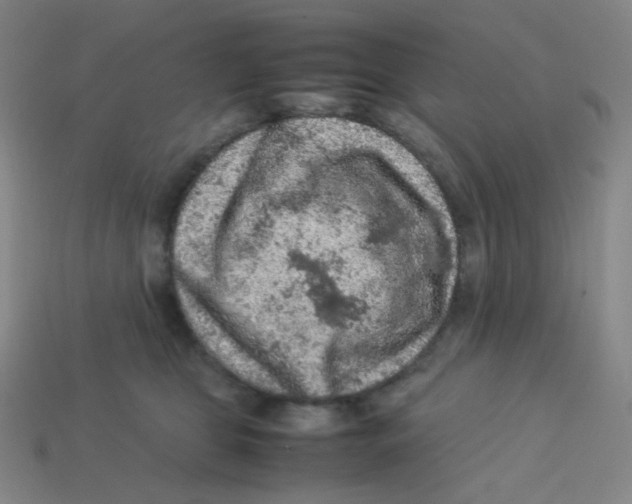 X0000113310469200910131111