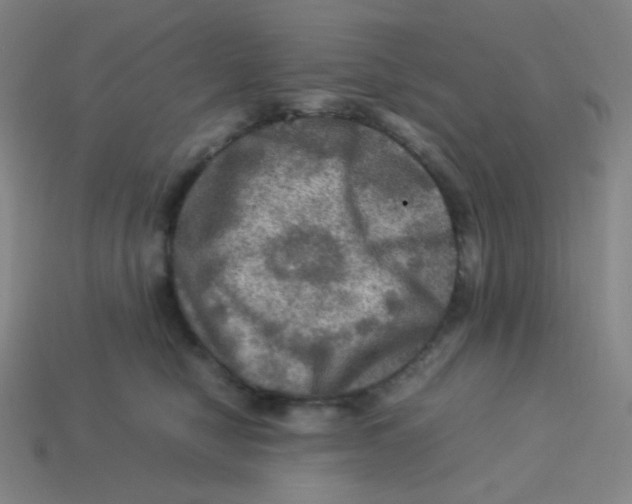X0000113310470200910131111