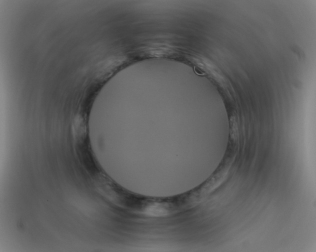 X0000113310471200910131111