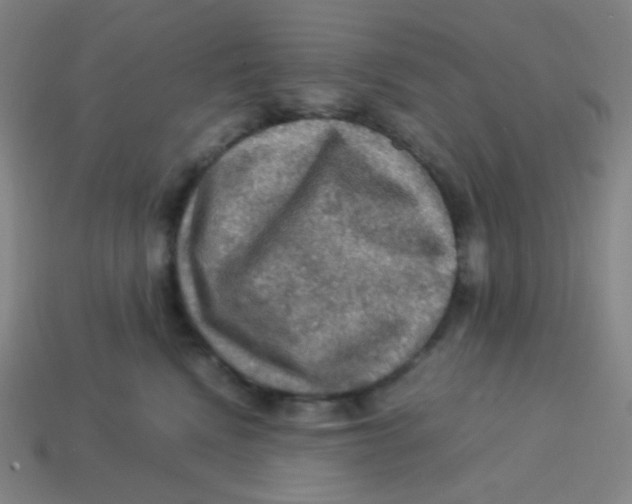 X0000113310472200910131111