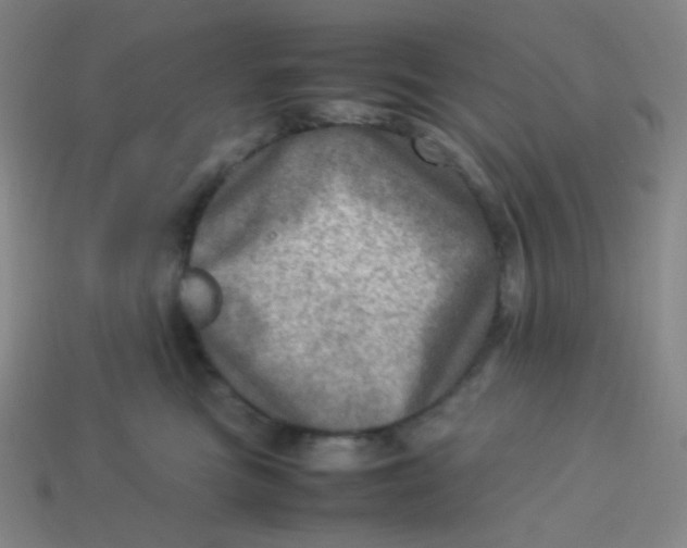 X0000113310473200910131111