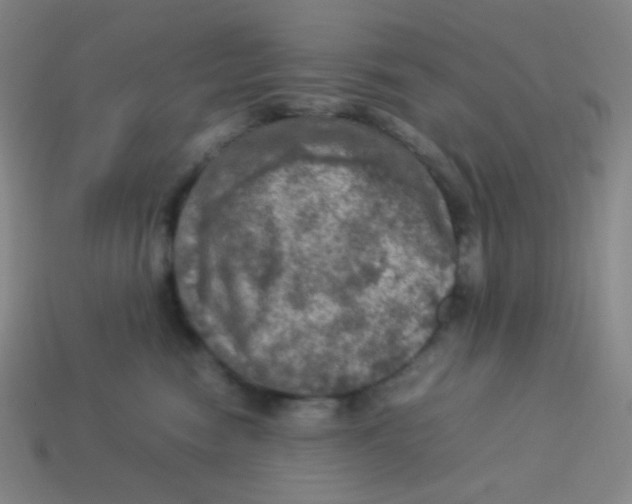 X0000113310474200910131111