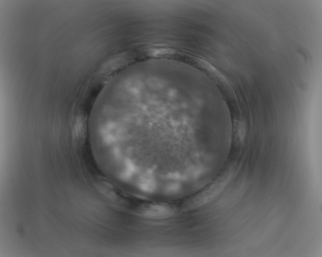 X0000113310475200910131111