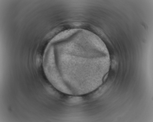 X0000113310476200910131111